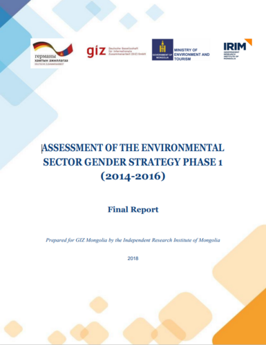 Assessment of the Environmental Sector Gender Strategy Phase 1 (2014-2016)